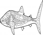 Printable Realistic Whale Shark coloring pages