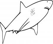 Printable Very Easy Great White Shark coloring pages