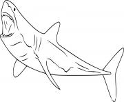 Printable Swimming White Shark coloring pages