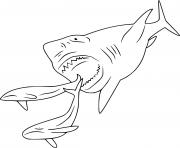 Printable Megalodon Hunting Whales shark coloring pages