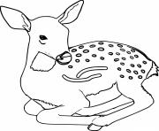 Printable Cute Baby Spotted Deer coloring pages