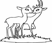 Printable Two Deer Kisses Each Other coloring pages