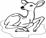 Printable Baby Spotted Deer on the Puddle coloring pages