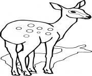 Printable Spotted Deer and Its Shadow coloring pages