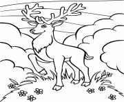 Printable Deer and Flowers coloring pages