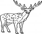 Printable Male Spotted Deer coloring pages