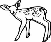 Printable Simple Little Spotted Deer coloring pages