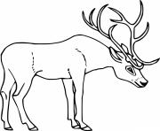 Printable Deer with Big Antler coloring pages