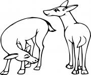 Printable Two Little Deer coloring pages