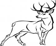 Printable beautiful whitetail coloring pages
