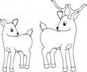 Printable Two Baby Deer coloring pages