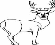 Printable Simple Deer coloring pages