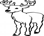 Printable simple Virginia deer coloring pages