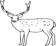 Printable Easy Sika Deer coloring pages