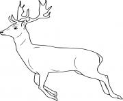 Printable Simple Running Deer coloring pages