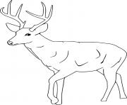 Printable simple whitetail coloring pages
