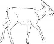 Printable Female Mule Deer coloring pages