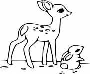 Printable Baby Deer and a Bunny coloring pages