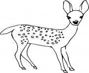 Printable Realistic Baby Deer coloring pages