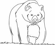 Printable Walking Grizzly Bear coloring pages