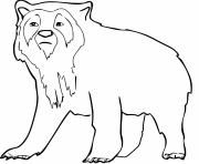 Printable Realistic Spectacled Bear coloring pages