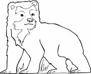 Printable Spectacled Bear on the Grass coloring pages