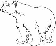 Printable Polar Bear Just out of the Water coloring pages