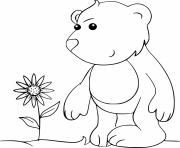 Printable Little Bear and a Flower coloring pages