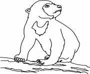 Printable Little Sun Bear coloring pages