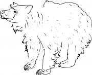 Printable Simple Sloth Bear coloring pages