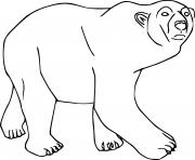 Printable Walking Realistic Polar Bear coloring pages