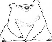 Printable Baby Sloth Bear coloring pages