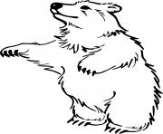 Printable Furry Black Bear Cub coloring pages
