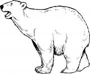Printable Realistic Roaring Polar Bear coloring pages