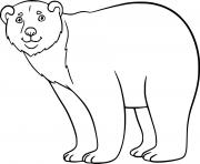 Printable Simple Cartoon Polar Bear coloring pages