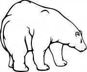 Printable Easy Realistic Polar Bear coloring pages