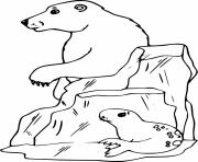 Printable Polar Bear and a Seal coloring pages