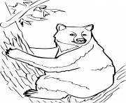 Printable Black Bear Climbing the Tree coloring pages