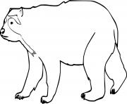 Printable Walking Spectacled Bear coloring pages