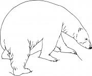 Printable Polar Bear on the Mountain coloring pages