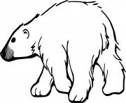 Printable Simple Realistic Polar Bear coloring pages