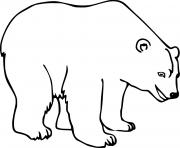 Printable Young Smiling Polar Bear coloring pages