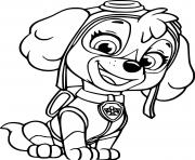 Printable Beautiful Skye from Paw Patrol coloring pages