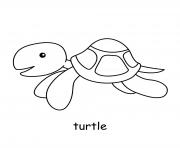 Printable turtle coloring pages
