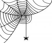 Printable Little Spider Spinning Web coloring pages
