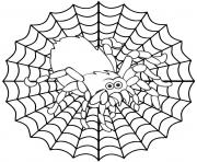 Printable spider web coloring pages