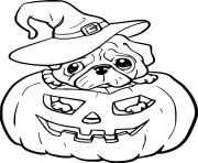 Printable Puppy Witch in the Jack O Lantern coloring pages