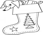 Printable Puppy in Stocking with Star Pattern coloring pages