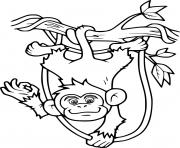 Printable Monkey and a Big Branch coloring pages