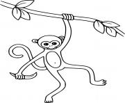 Printable Thin Monkey coloring pages